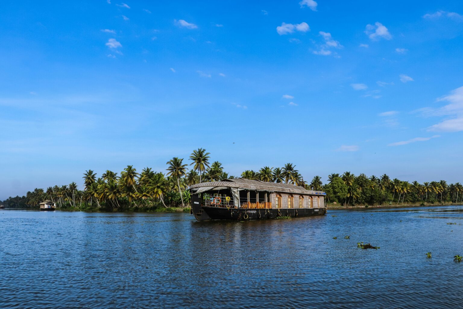 A tranquil scene of a houseboat floating on a tropical river in India, surrounded by palm trees.